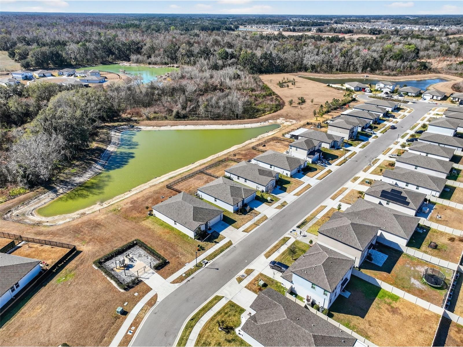 38870 Opal Willow Lane Zephyrhills FL 33540 TB8472319 image71