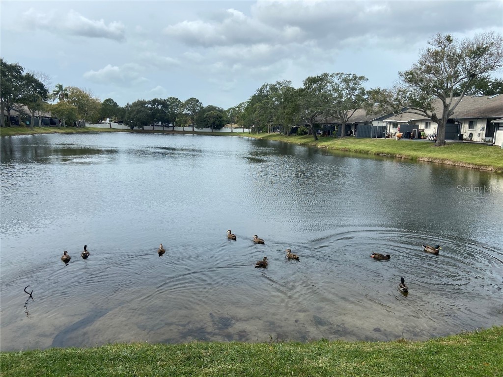 3888 El Camino Court Largo FL 33771 A4670706 image2