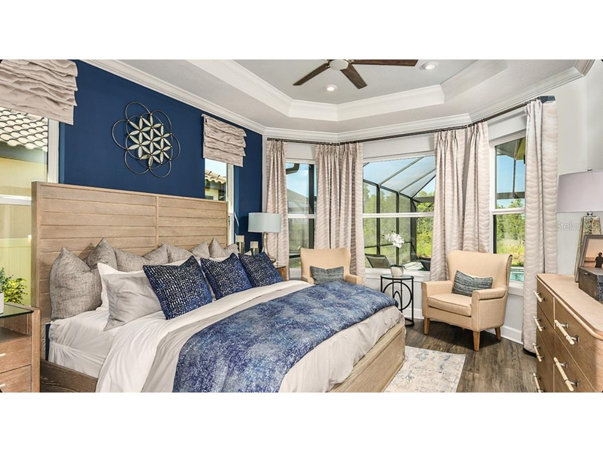 3888 Masaniello Way Wesley Chapel FL 33543 O6406867 image11