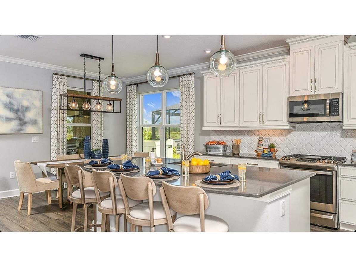 3888 Masaniello Way Wesley Chapel FL 33543 O6406867 image4