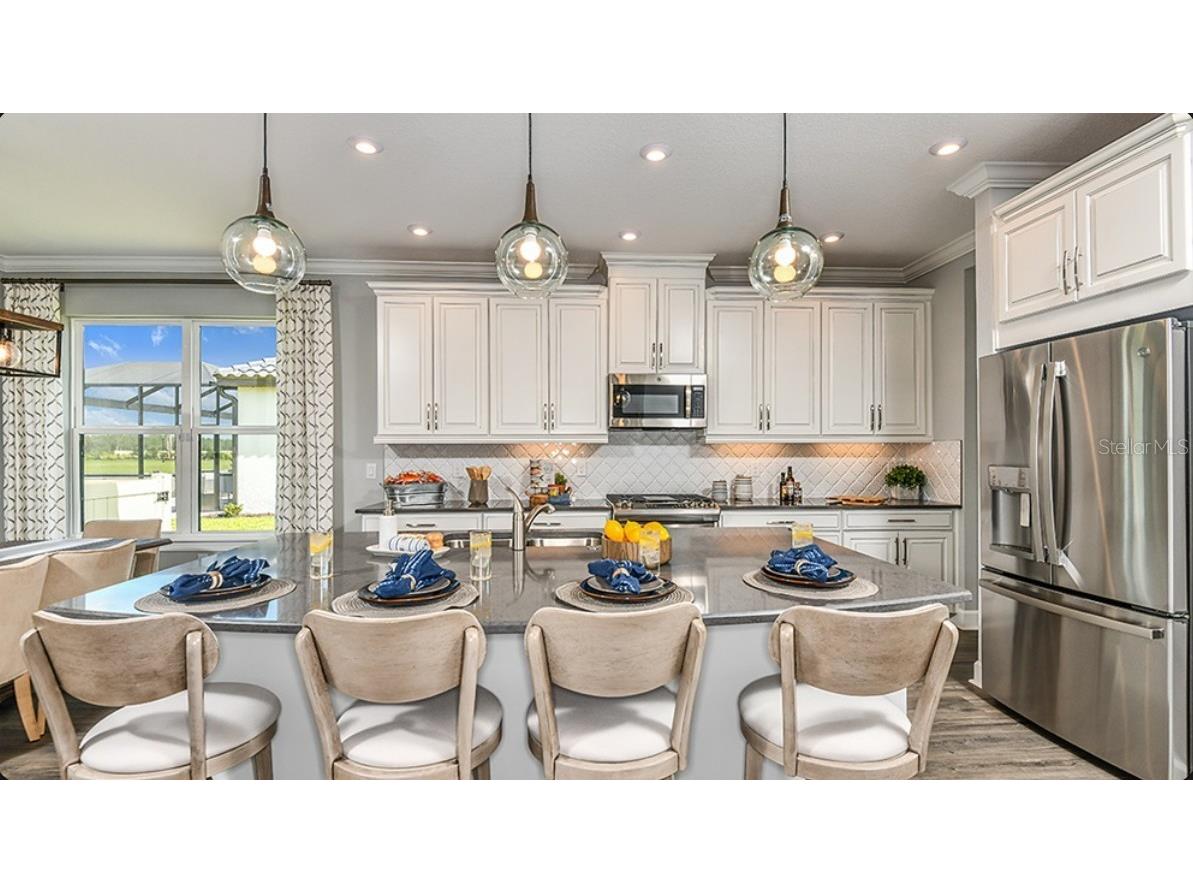 3888 Masaniello Way Wesley Chapel FL 33543 O6406867 image5