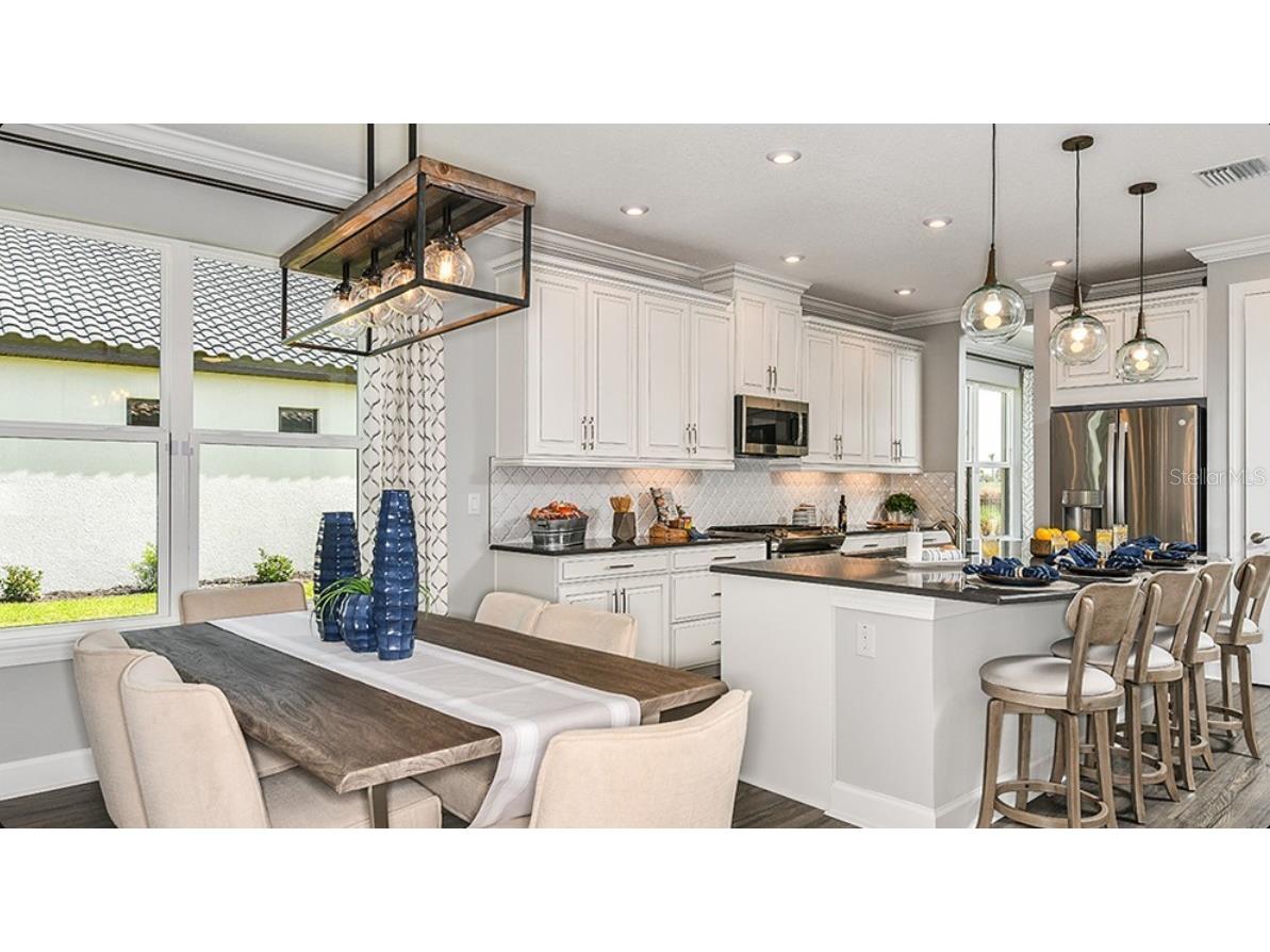 3888 Masaniello Way Wesley Chapel FL 33543 O6406867 image6