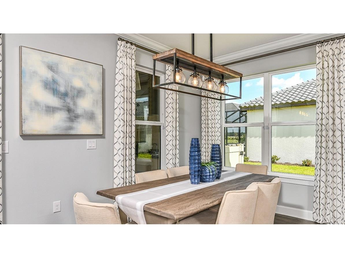 3888 Masaniello Way Wesley Chapel FL 33543 O6406867 image7