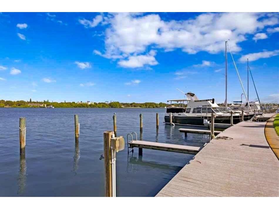 3889 Pompano Drive SE #C Saint Petersburg FL 33705 TB8514297 image44