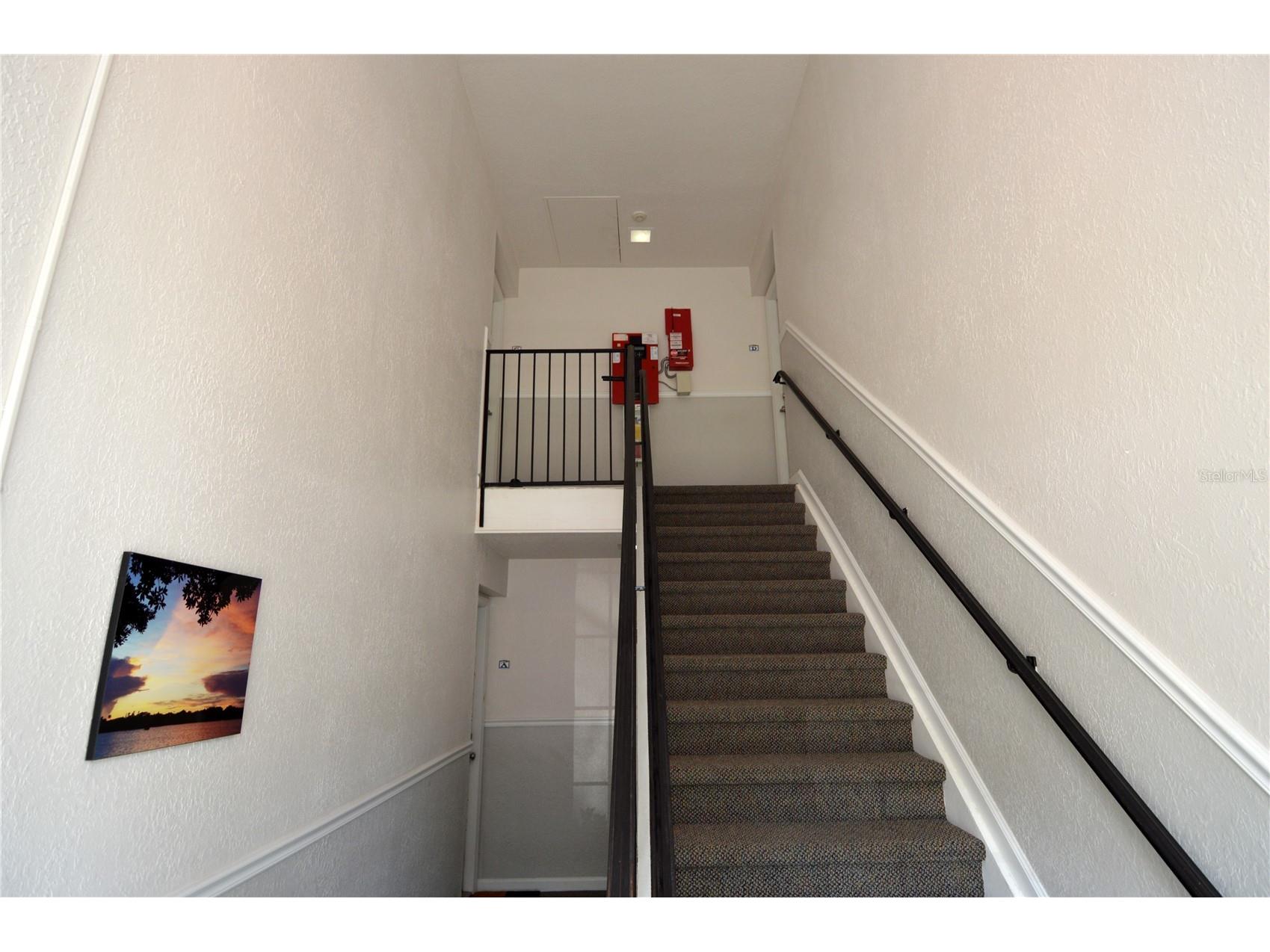 3889 Pompano Drive SE #C Saint Petersburg FL 33705 TB8514297 image5