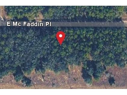 389 E Mc Faddin Place E Dunnellon FL 34434 TB8509060 image1