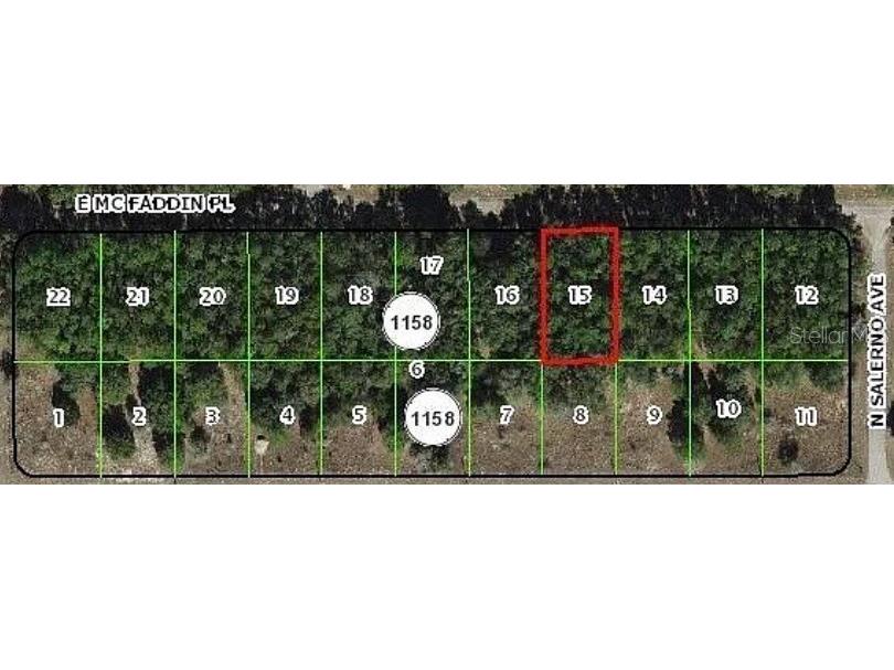 389 E Mc Faddin Place E Dunnellon FL 34434 TB8509060 image2