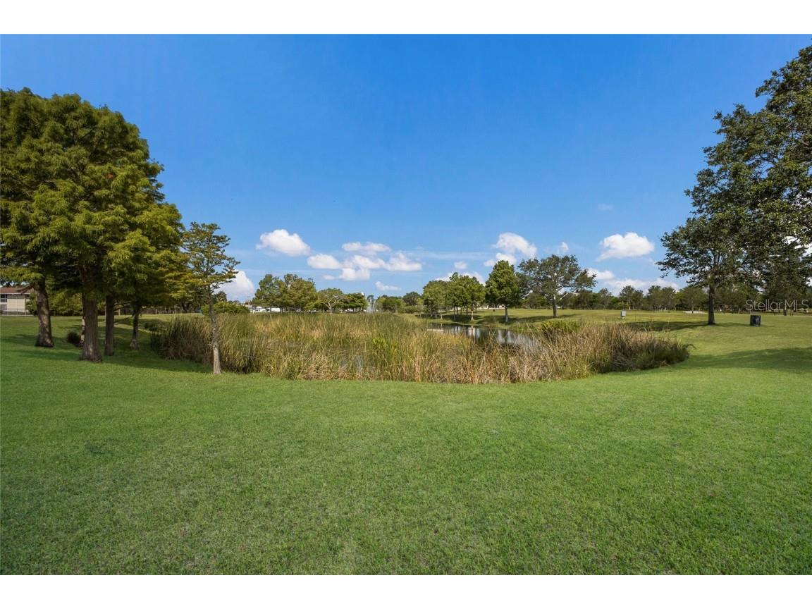 389 Gowdy Road Sarasota FL 34237 A4669745 image33