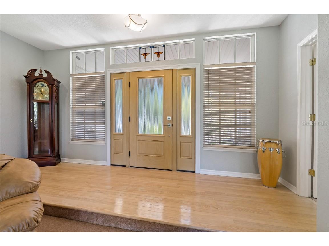 389 Grand Bay Drive Palm Harbor FL 34683 TB8401169 image12