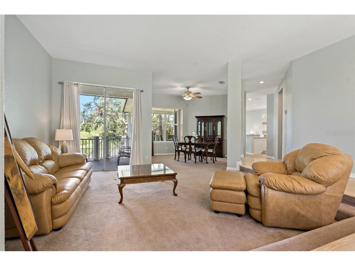 389 Grand Bay Drive Palm Harbor FL 34683 TB8401169 image18