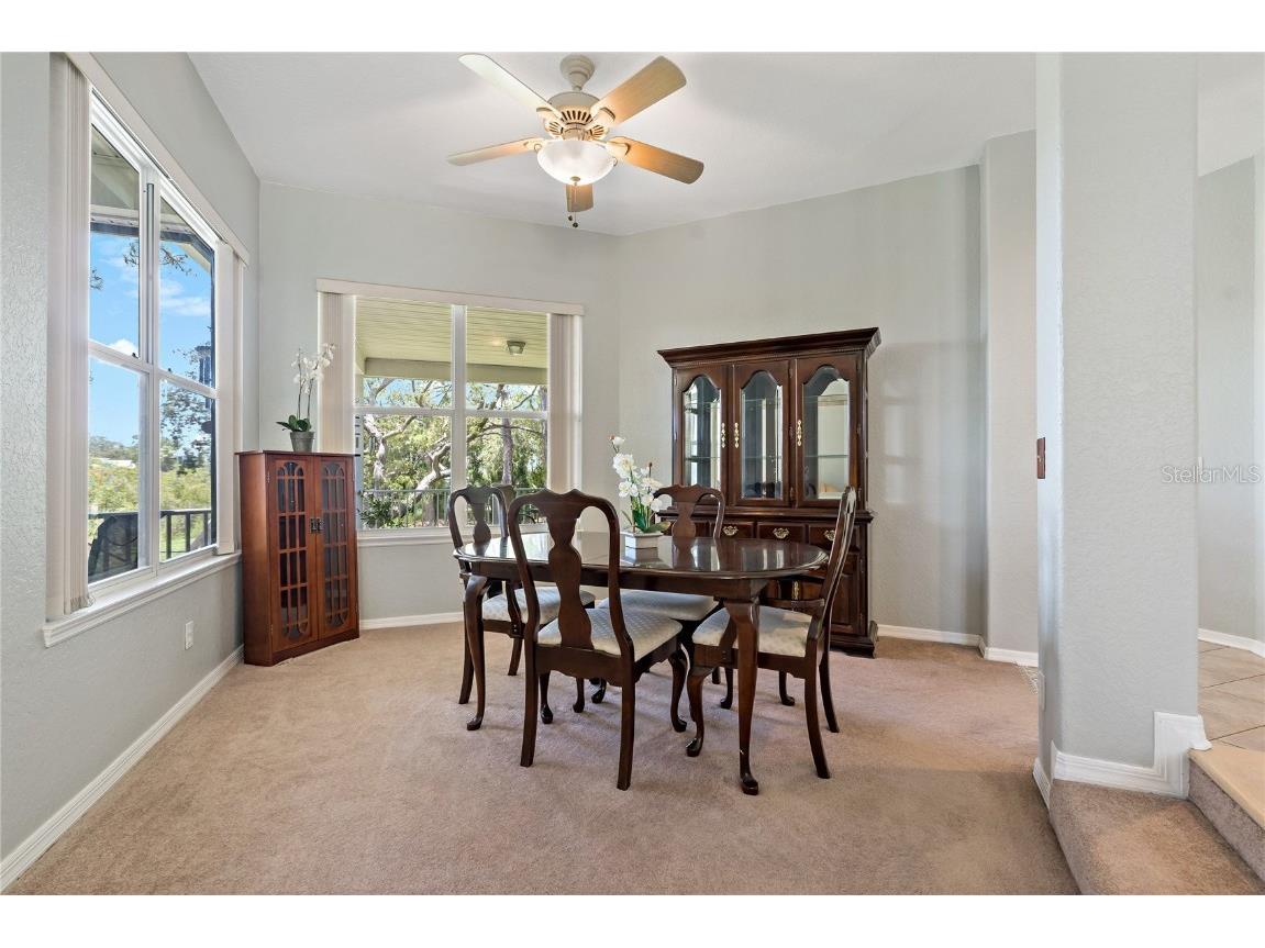 389 Grand Bay Drive Palm Harbor FL 34683 TB8401169 image19