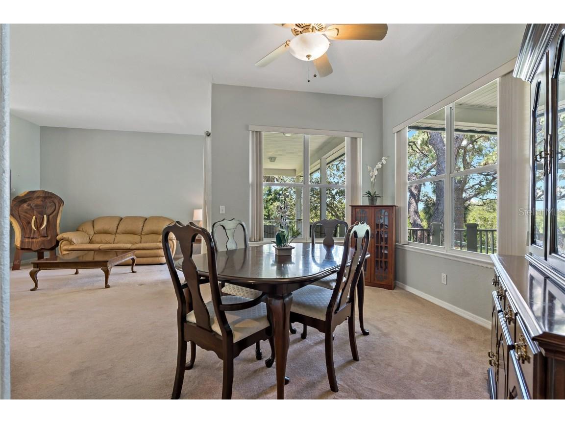 389 Grand Bay Drive Palm Harbor FL 34683 TB8401169 image20