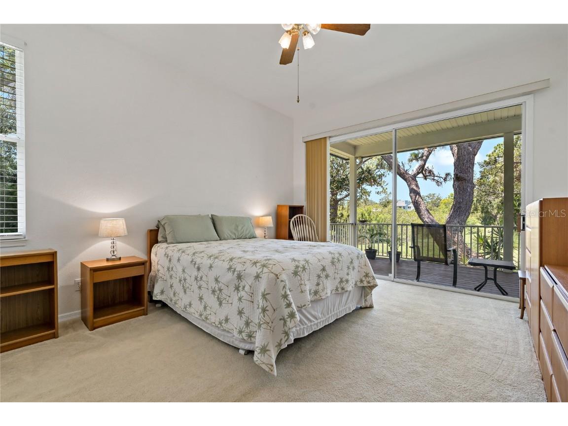 389 Grand Bay Drive Palm Harbor FL 34683 TB8401169 image21