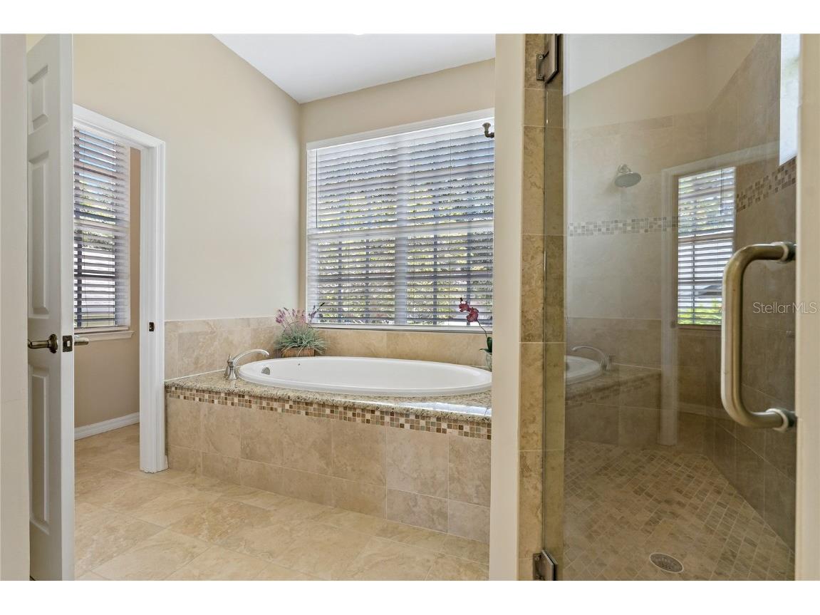 389 Grand Bay Drive Palm Harbor FL 34683 TB8401169 image23