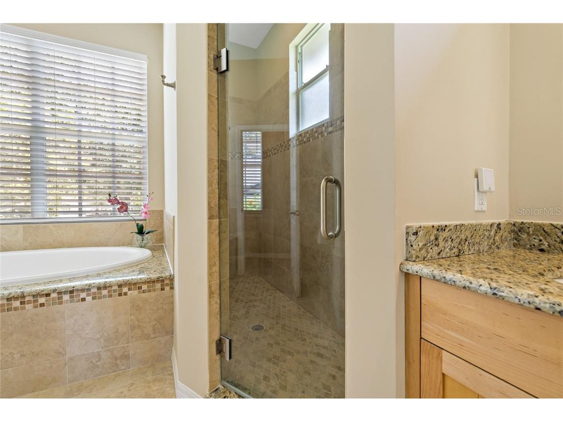 389 Grand Bay Drive Palm Harbor FL 34683 TB8401169 image24