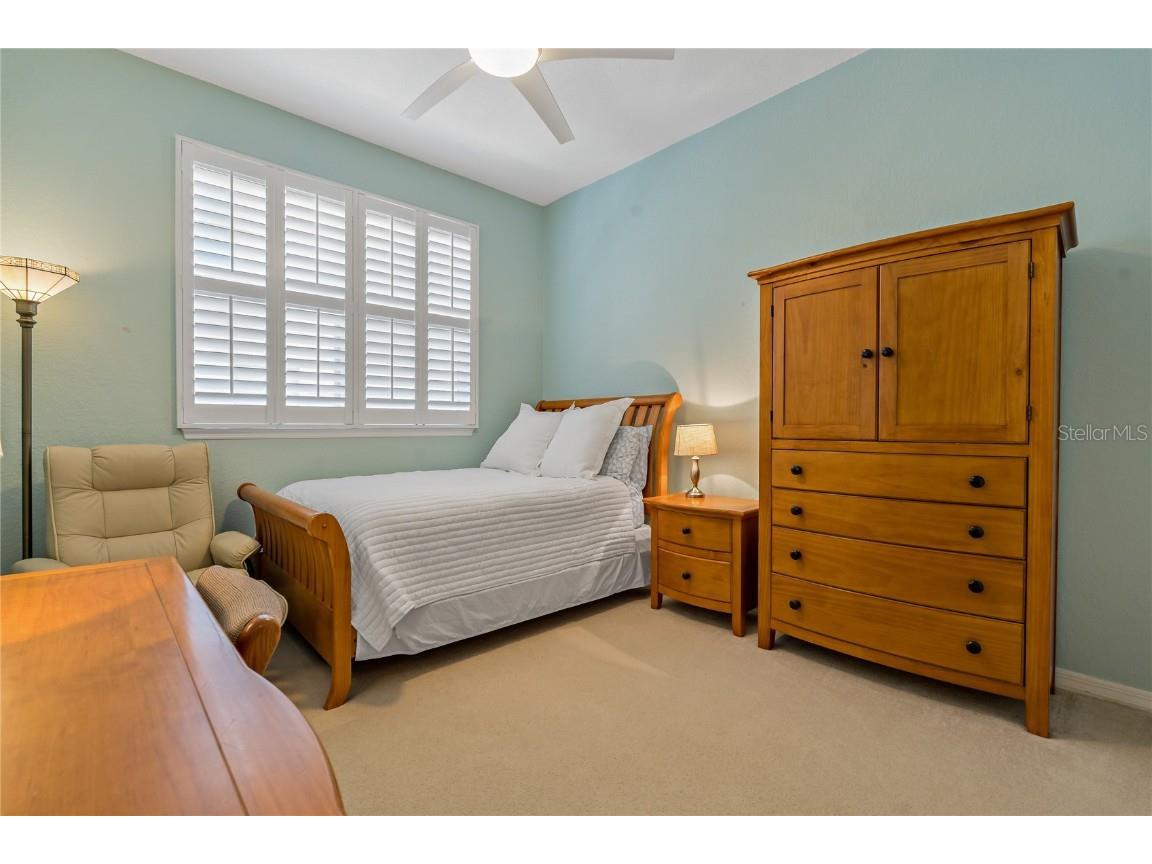 389 Grand Bay Drive Palm Harbor FL 34683 TB8401169 image30