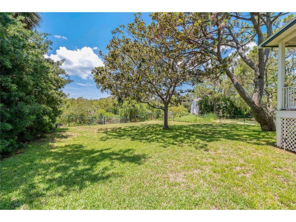 389 Grand Bay Drive Palm Harbor FL 34683 TB8401169 image33