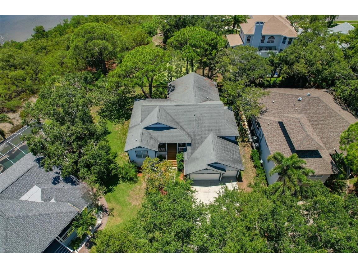 389 Grand Bay Drive Palm Harbor FL 34683 TB8401169 image42