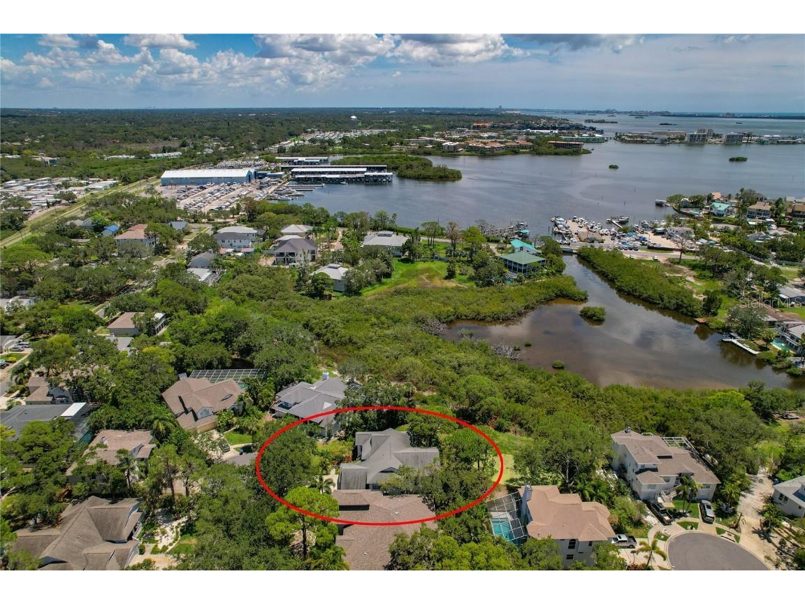 389 Grand Bay Drive Palm Harbor FL 34683 TB8401169 image43