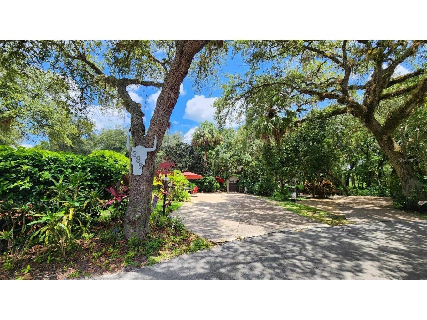 389 Longhorn Drive Lake Wales FL 33898 U8206920 image1