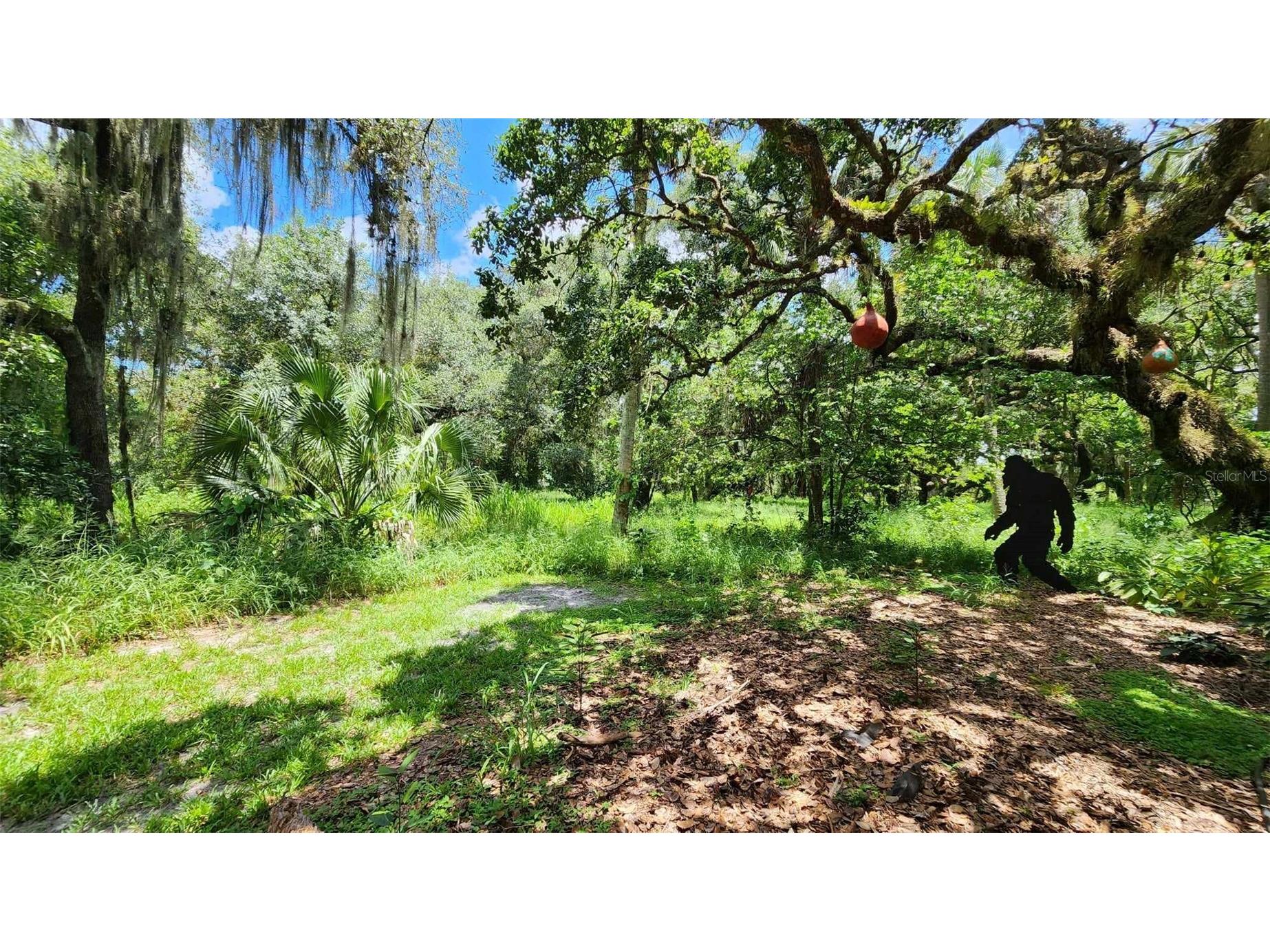 389 Longhorn Drive River Ranch FL 33867 TB8483707 image11