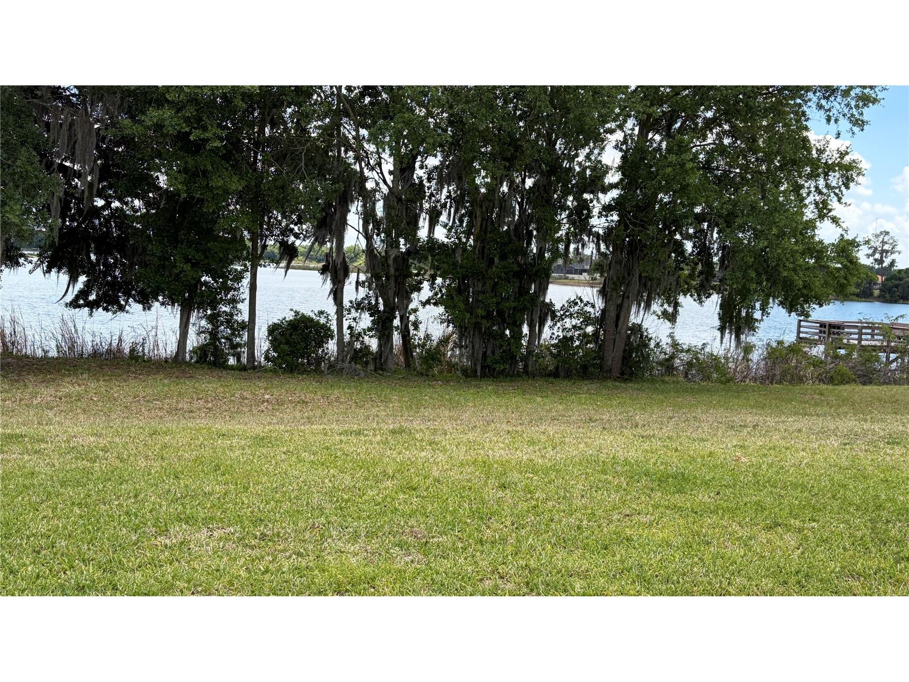 389 Nolane Lane Polk City FL 33868 - LAKE CLEARWATER O6422471 image10