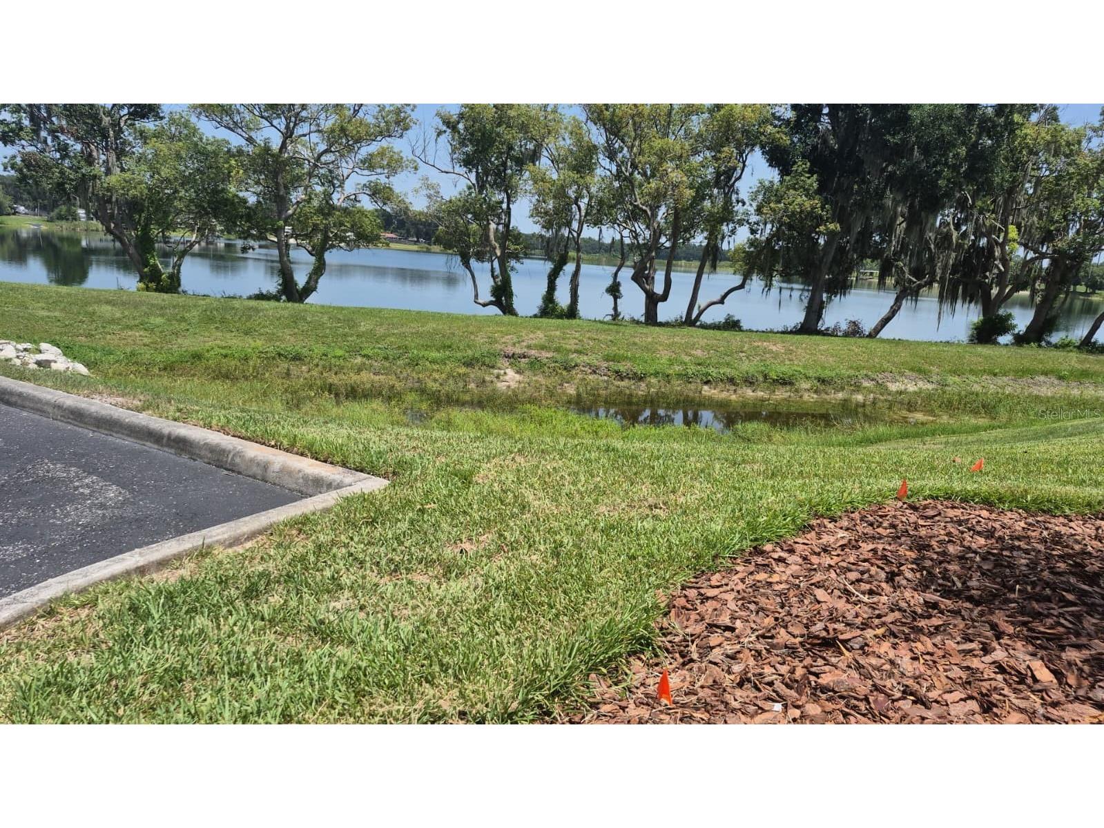 389 Nolane Lane Polk City FL 33868 - LAKE CLEARWATER O6422471 image25