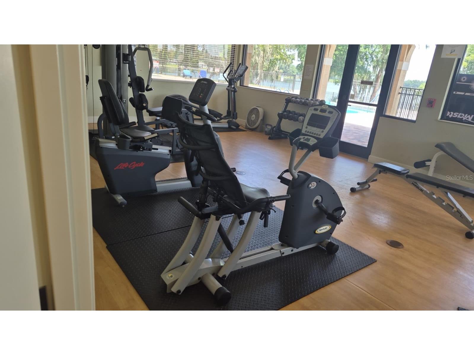 389 Nolane Lane Polk City FL 33868 - LAKE CLEARWATER O6422471 image30