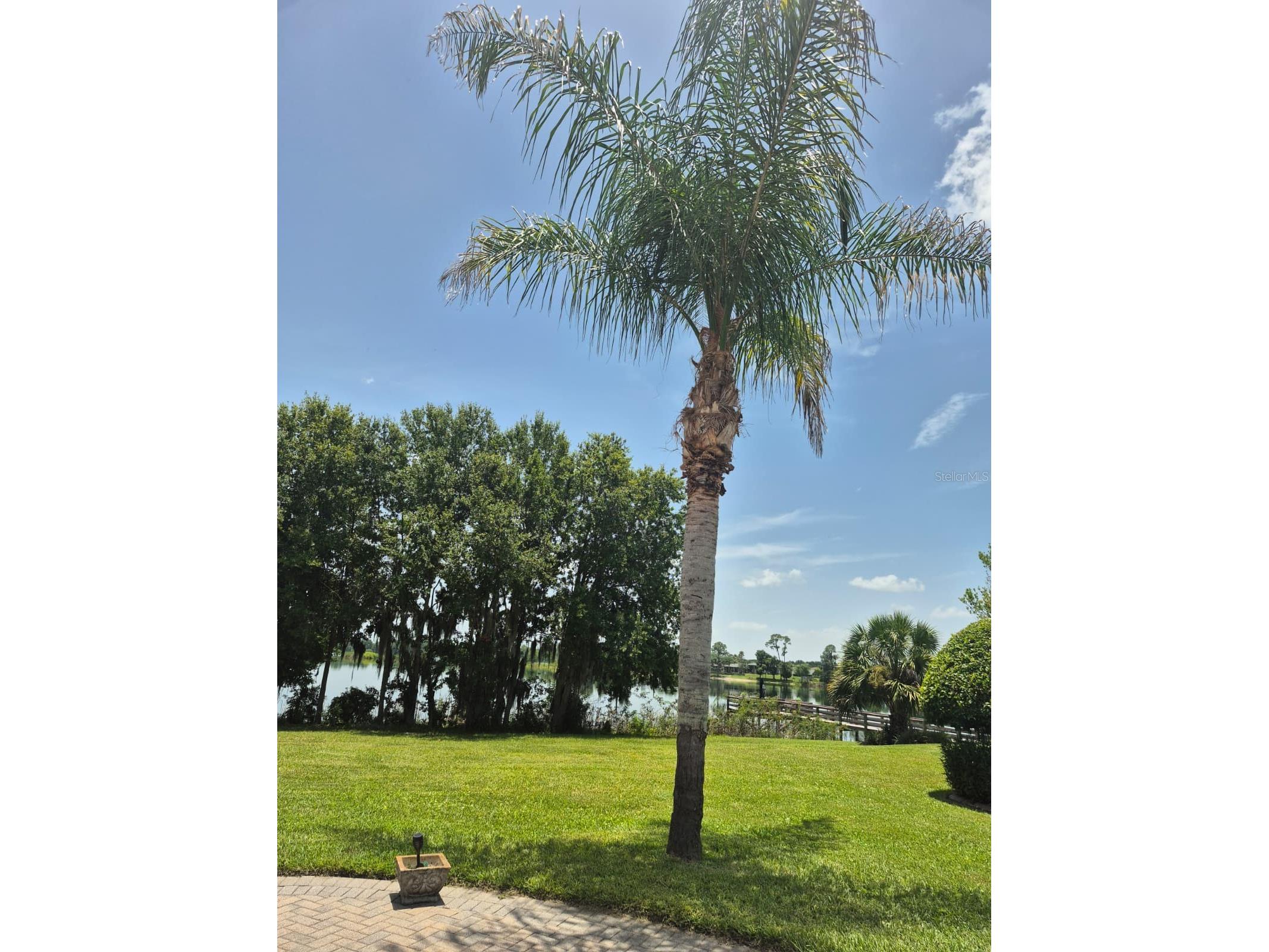 389 Nolane Lane Polk City FL 33868 - LAKE CLEARWATER O6422471 image36