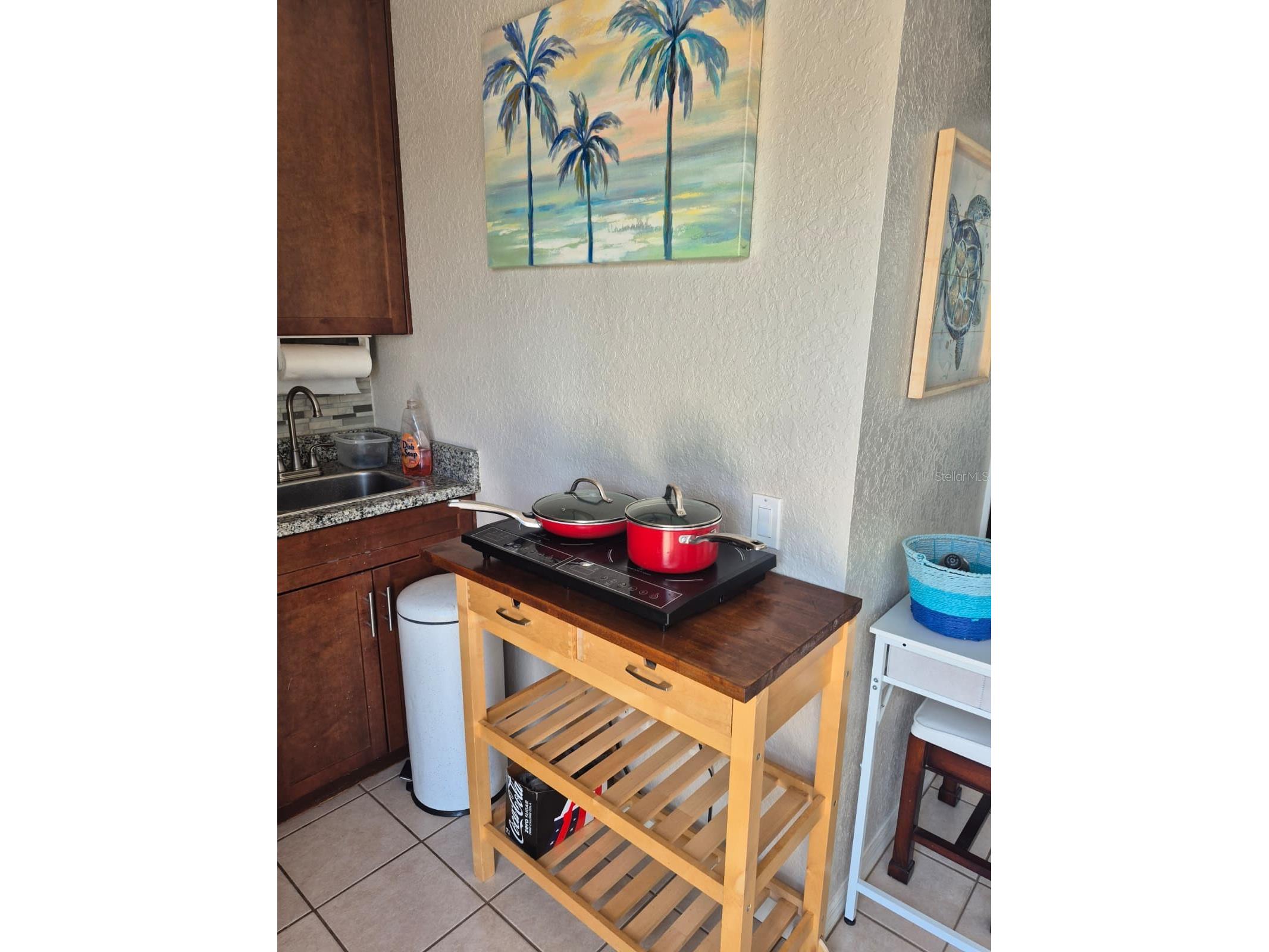 389 Nolane Lane Polk City FL 33868 - LAKE CLEARWATER O6422471 image44