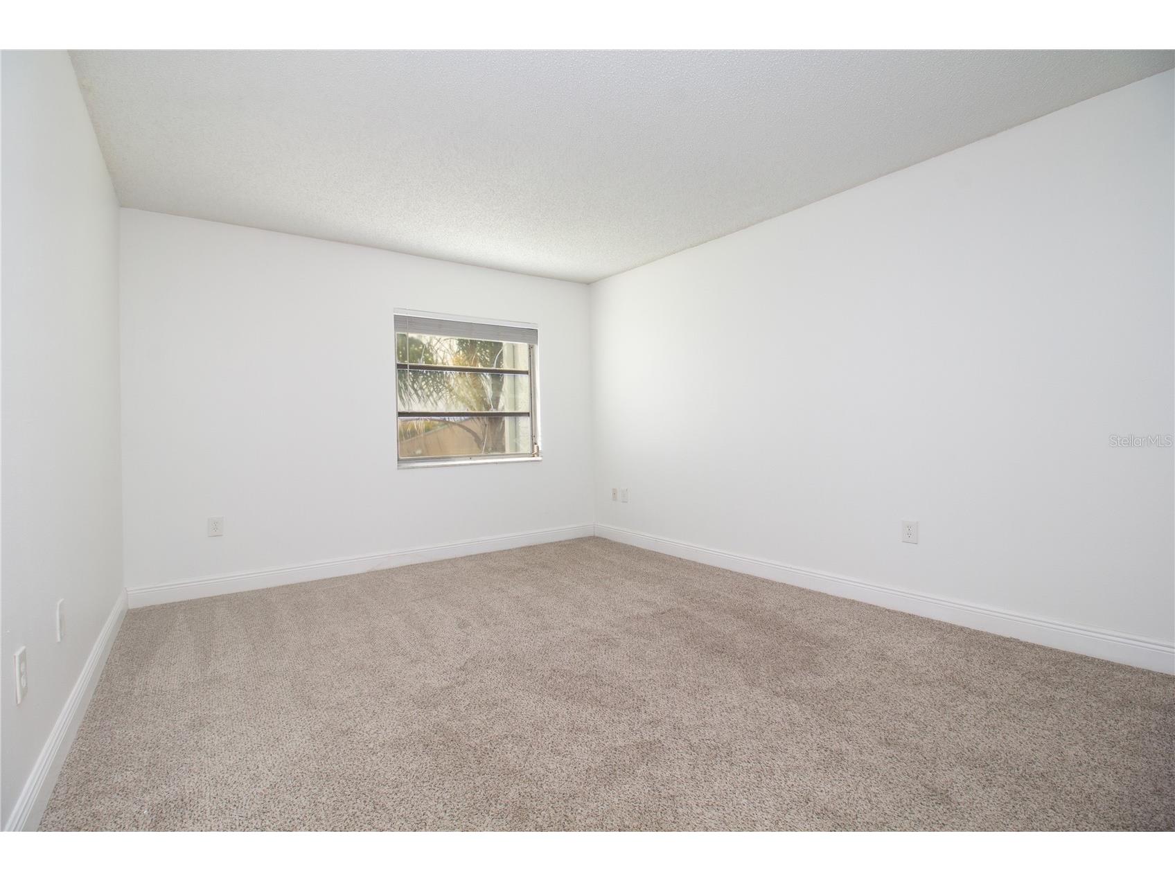 389 S Mcmullen Booth Road #12 Clearwater FL 33759 TB8514086 image17