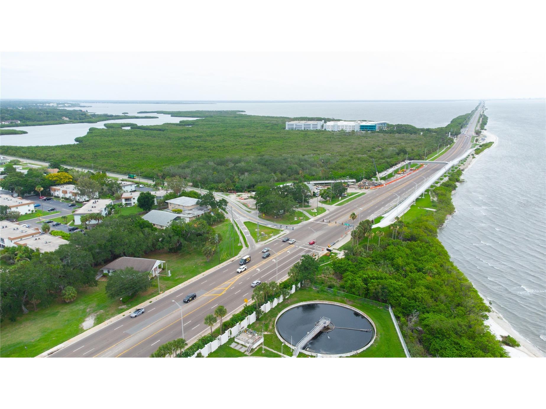 389 S Mcmullen Booth Road #12 Clearwater FL 33759 TB8514086 image2
