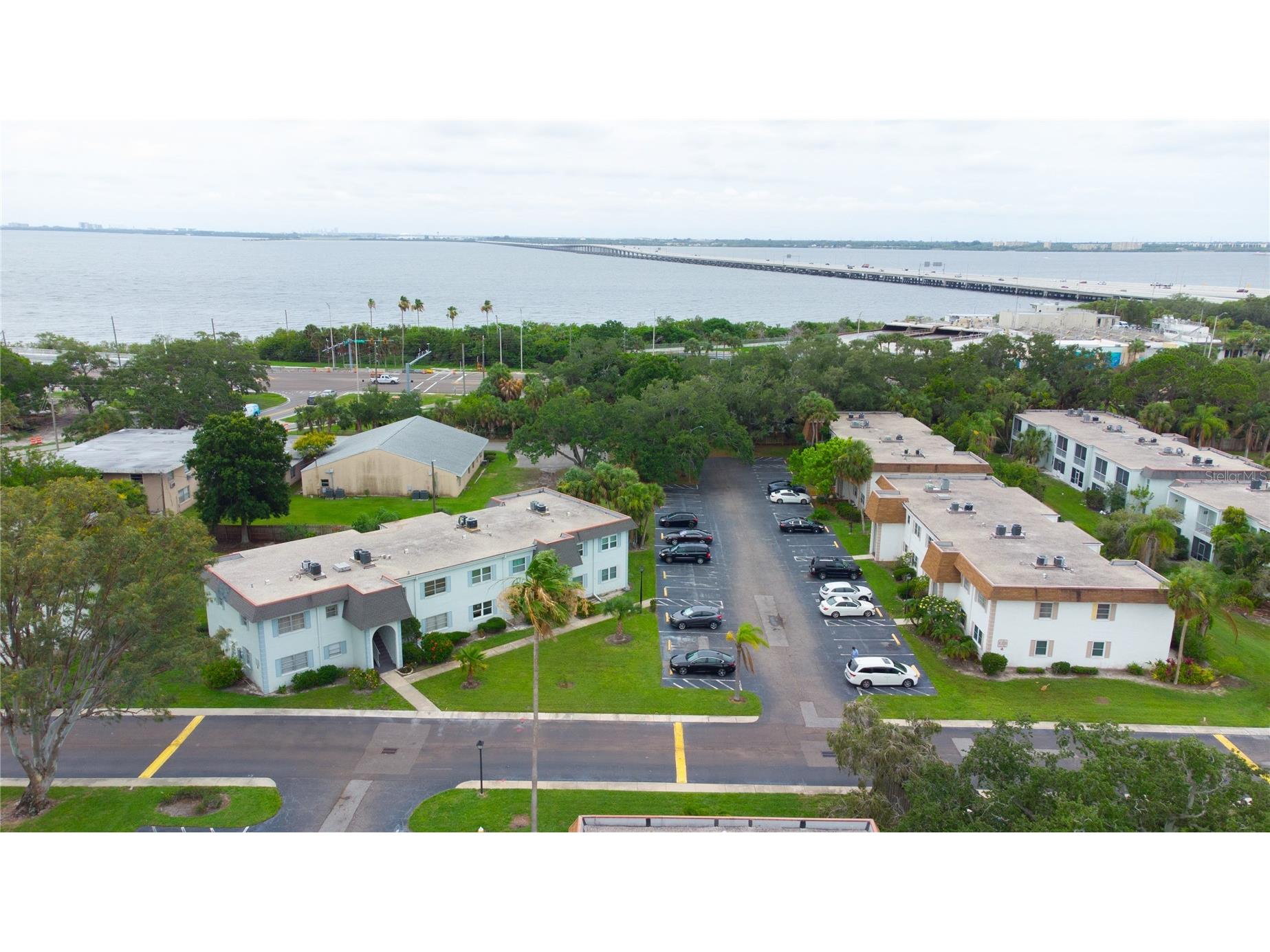 389 S Mcmullen Booth Road #12 Clearwater FL 33759 TB8514086 image5
