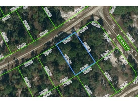 389 Showboat Avenue Lake Placid FL 33852 OM621738 image2