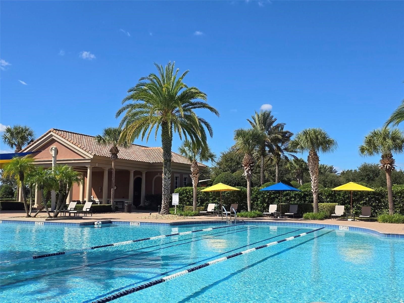 389 Silver Maple Road Groveland FL 34736 - SCHOOL HOUSE LAKE S5145090 image60