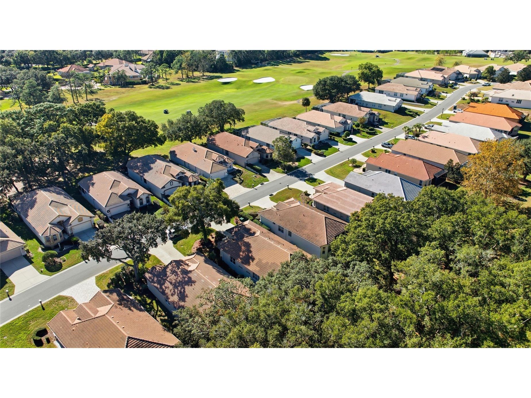 389 W Doerr Path Hernando FL 34442 OM728159 image4