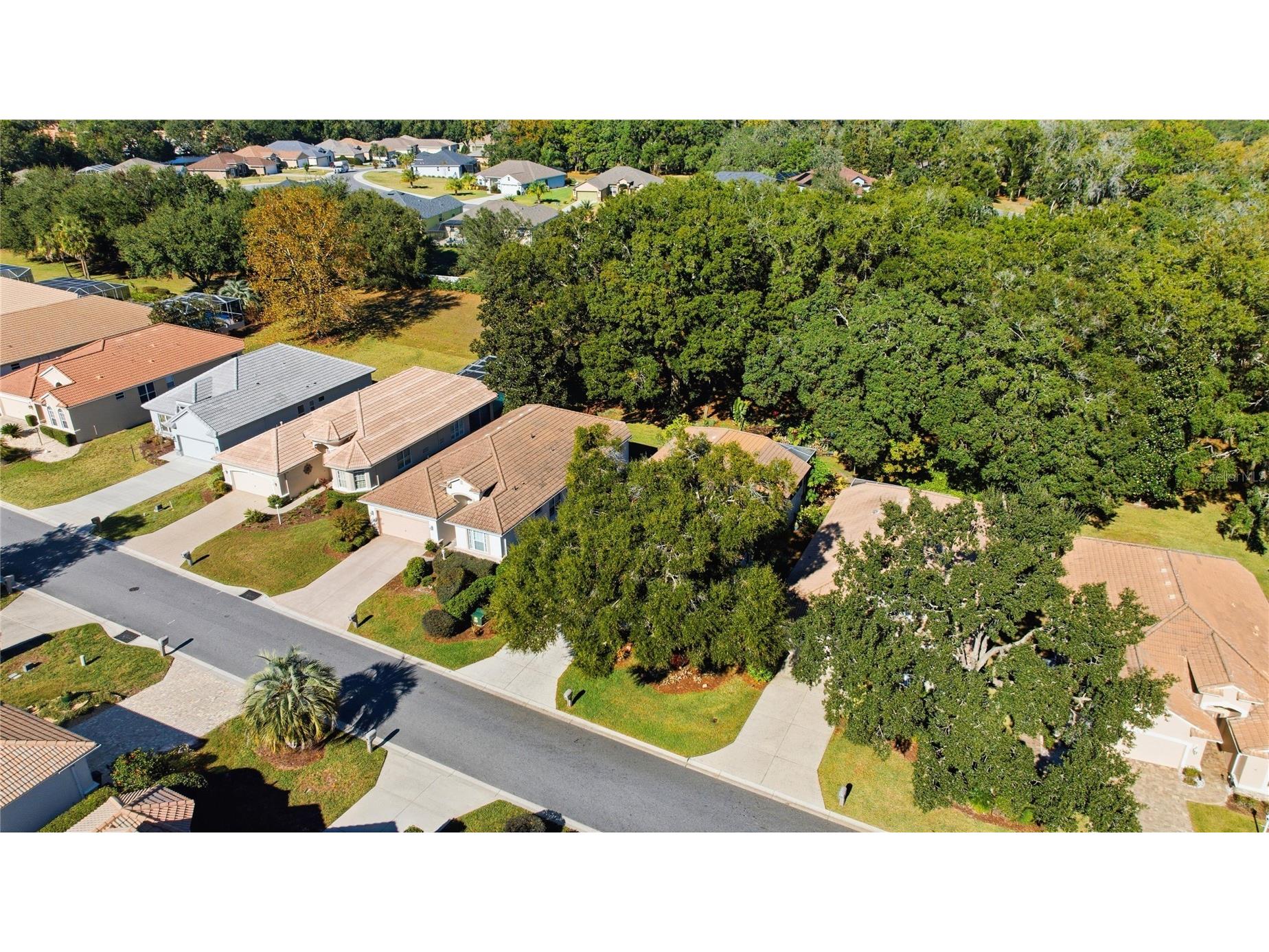 389 W Doerr Path Hernando FL 34442 OM728159 image57