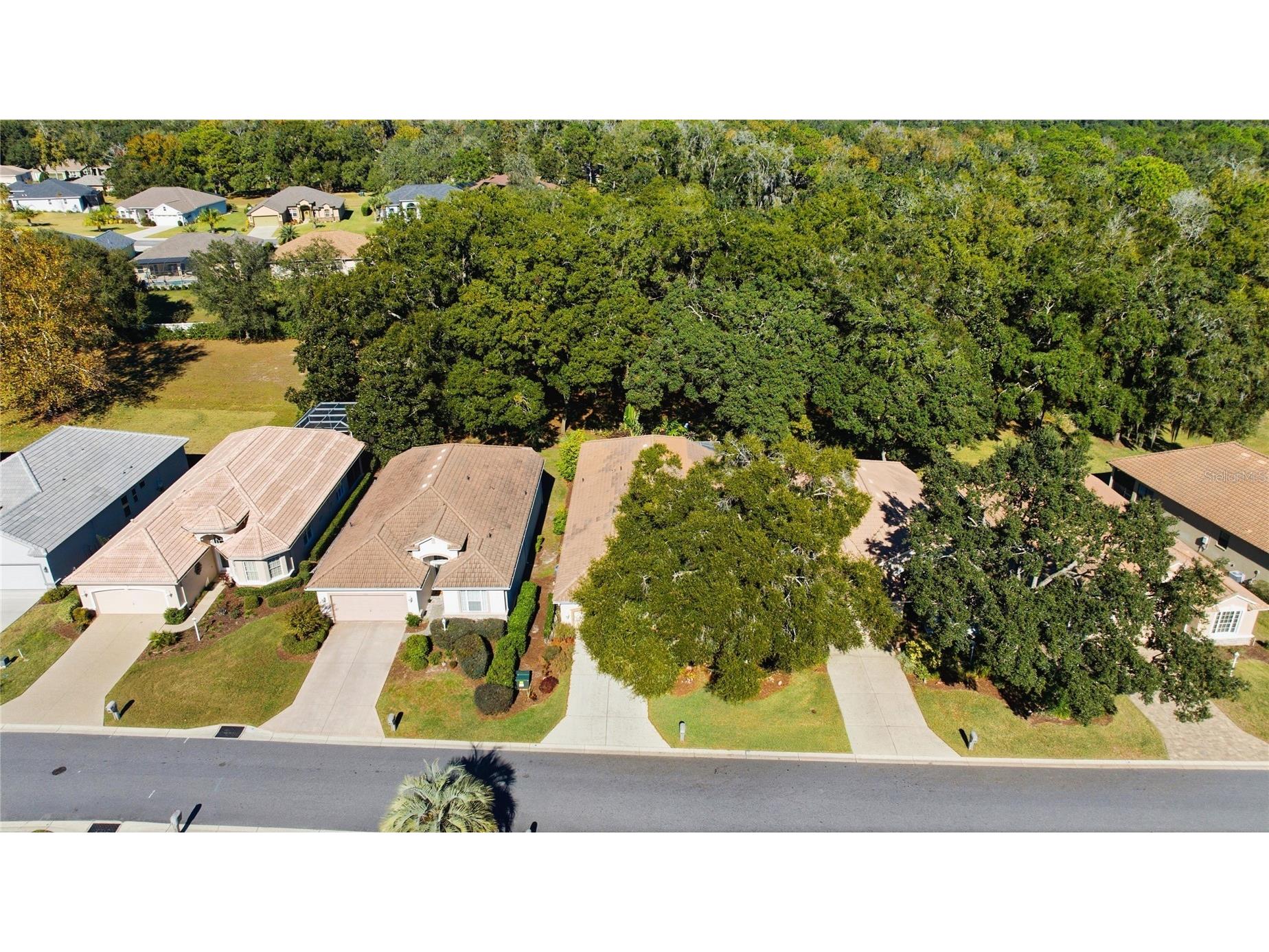 389 W Doerr Path Hernando FL 34442 OM728159 image58