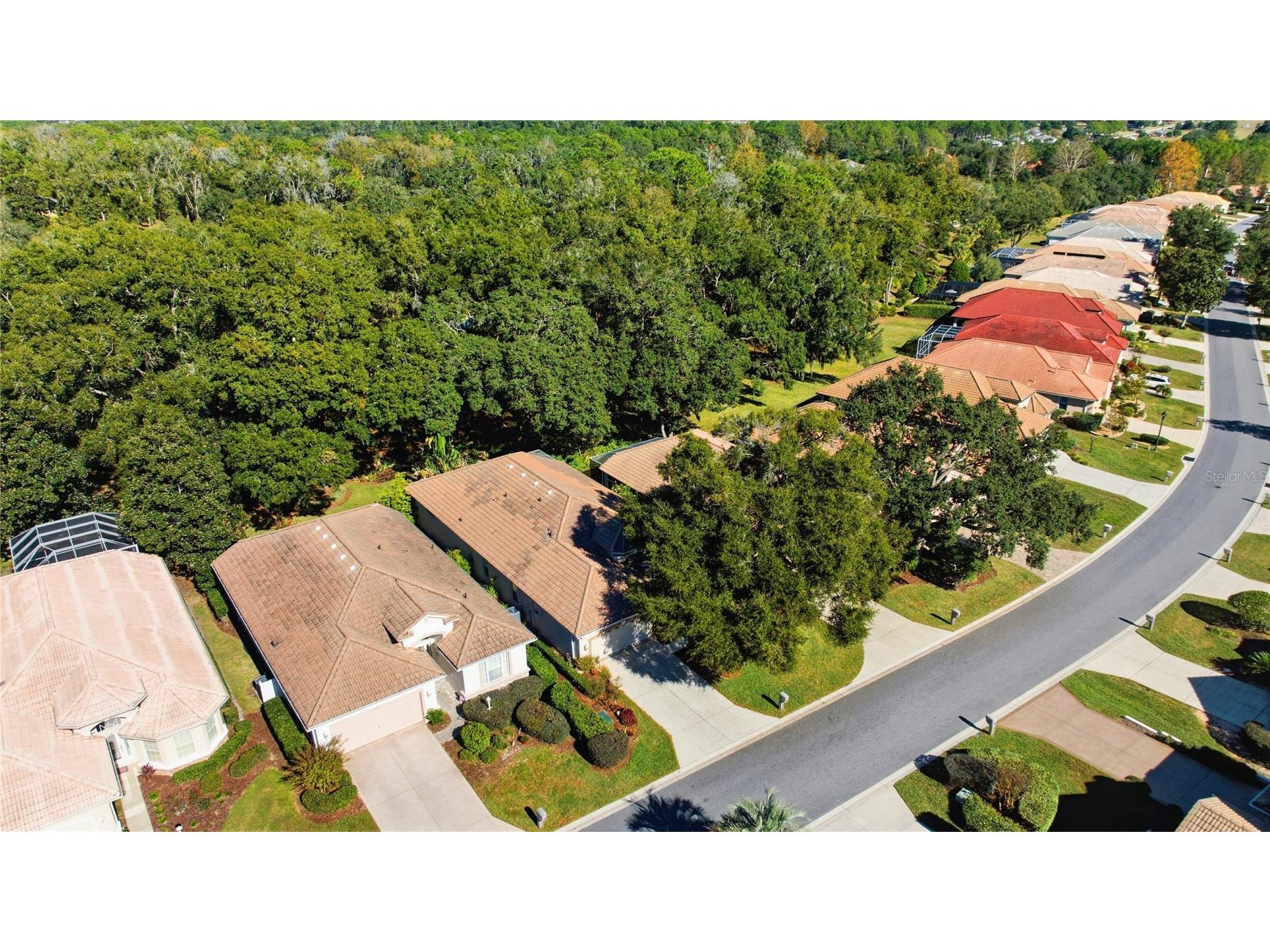 389 W Doerr Path Hernando FL 34442 OM728159 image59