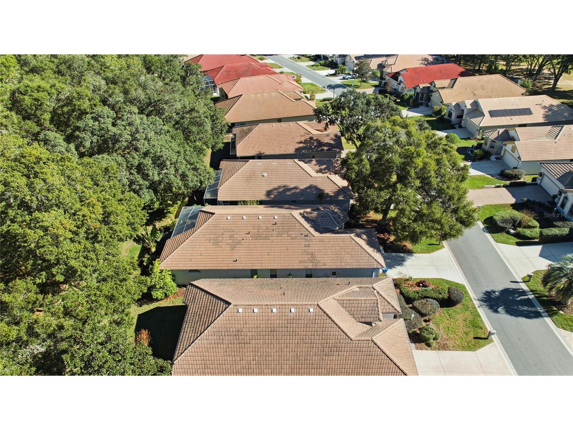389 W Doerr Path Hernando FL 34442 OM728159 image60