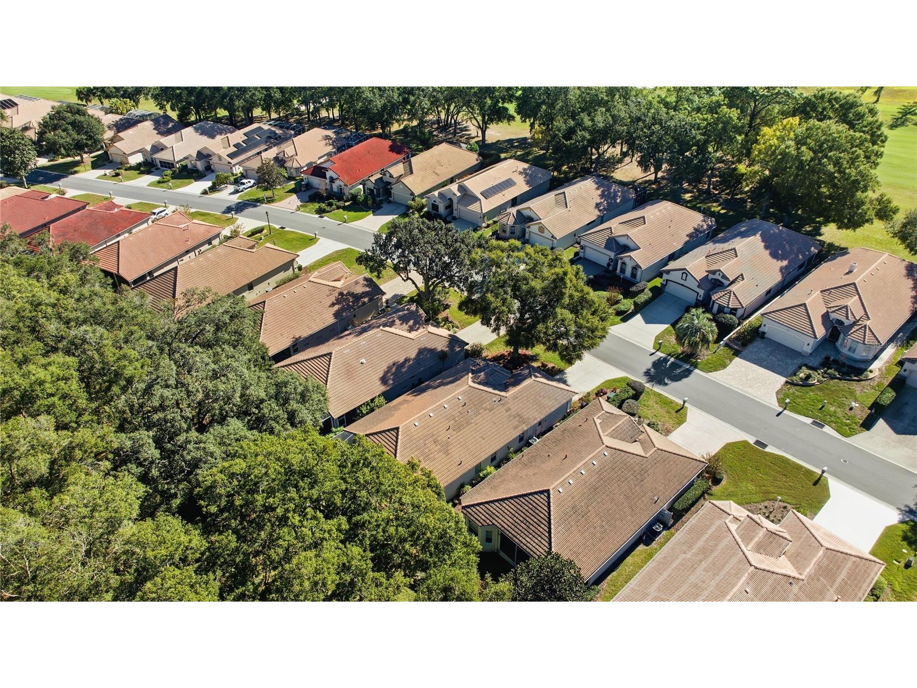 389 W Doerr Path Hernando FL 34442 OM728159 image61