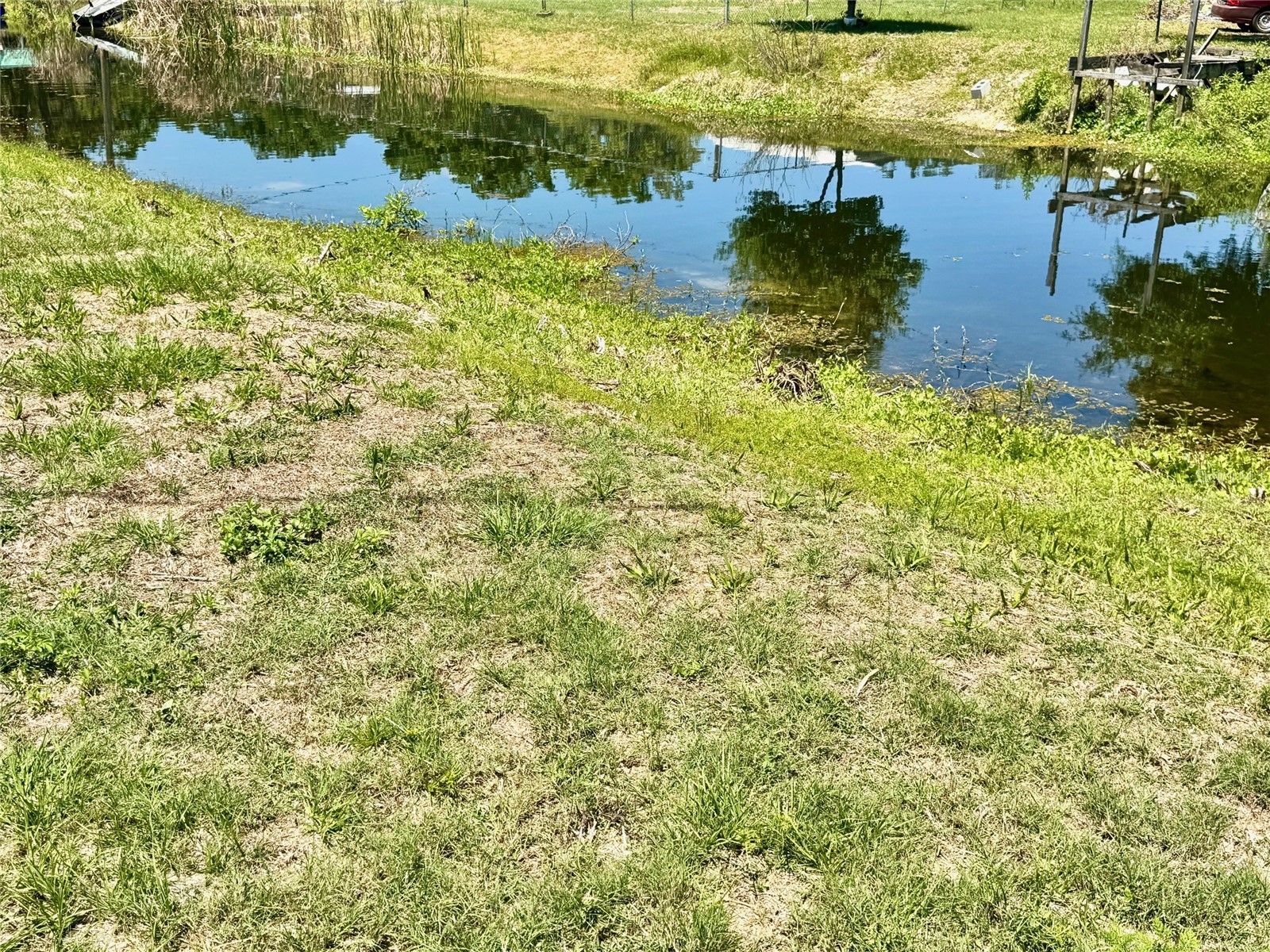 389 Waterview Drive Polk City FL 33868 B4902239 image25