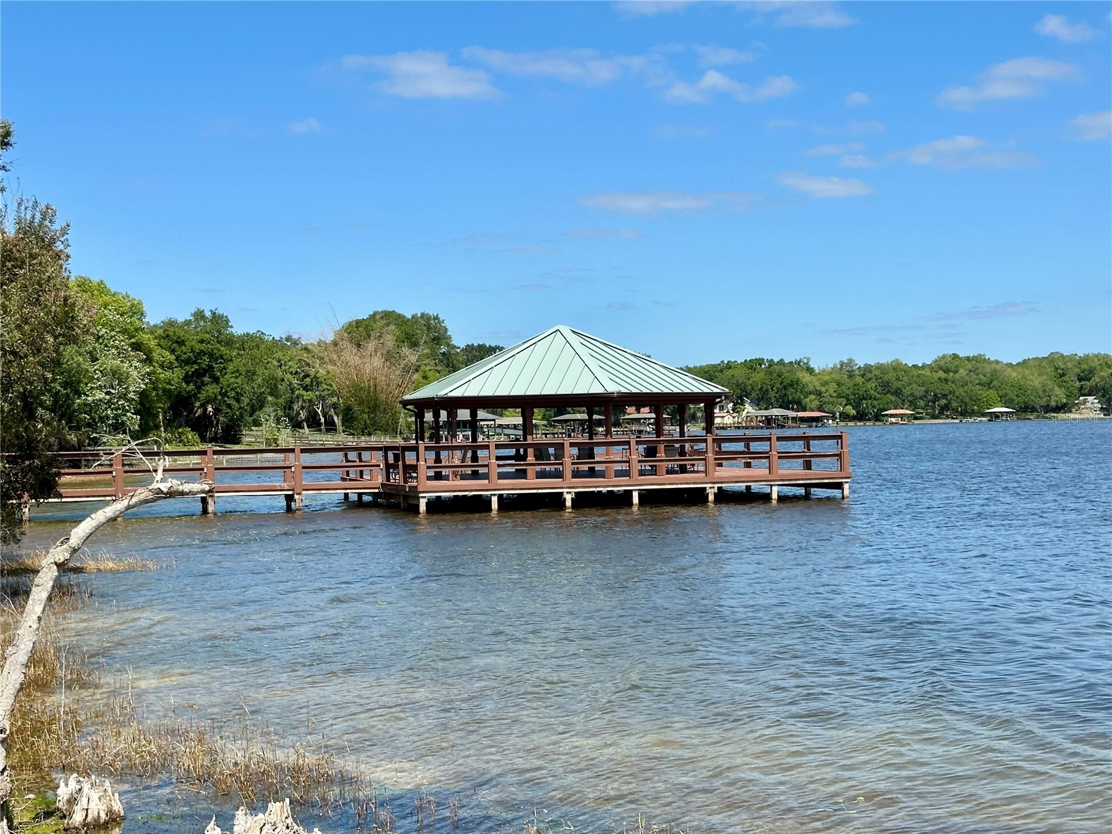3890 Bedford Avenue Winter Haven FL 33884 - LAKE RUBY L4961088 image60