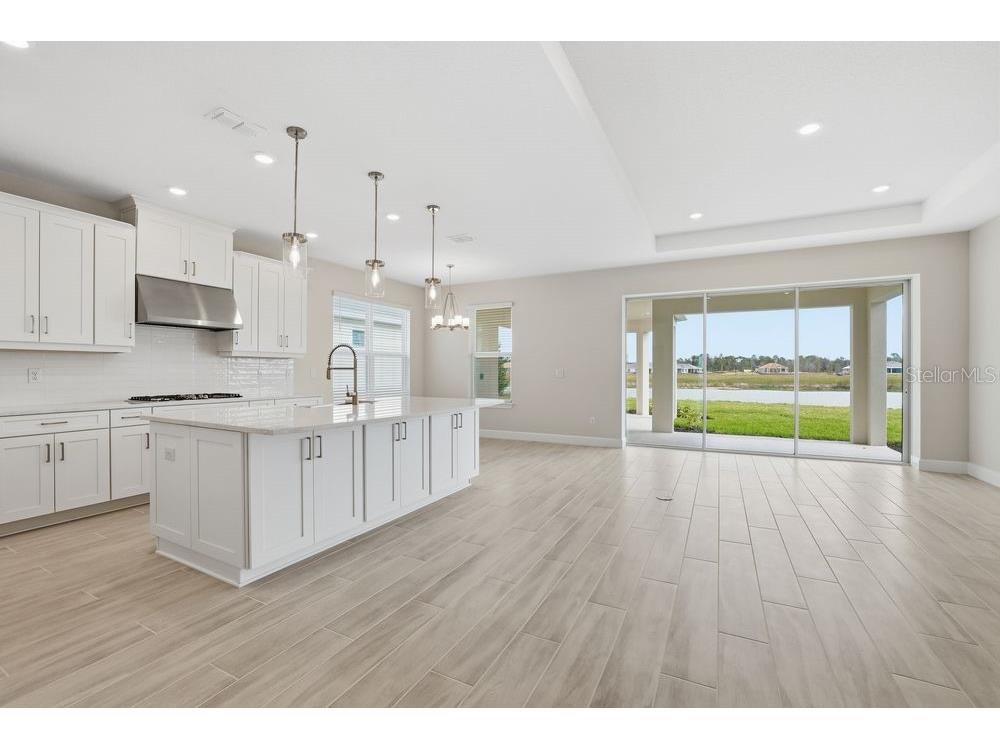 3890 Figliolia Way Wesley Chapel FL 33543 TB8429452 image13