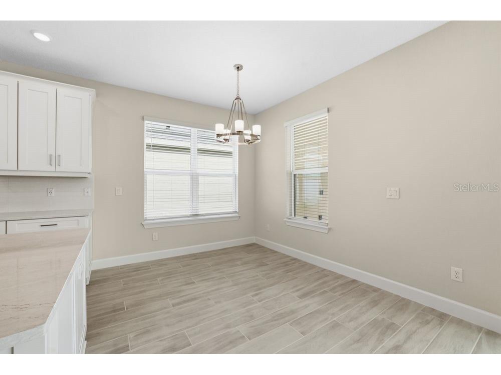 3890 Figliolia Way Wesley Chapel FL 33543 TB8429452 image14