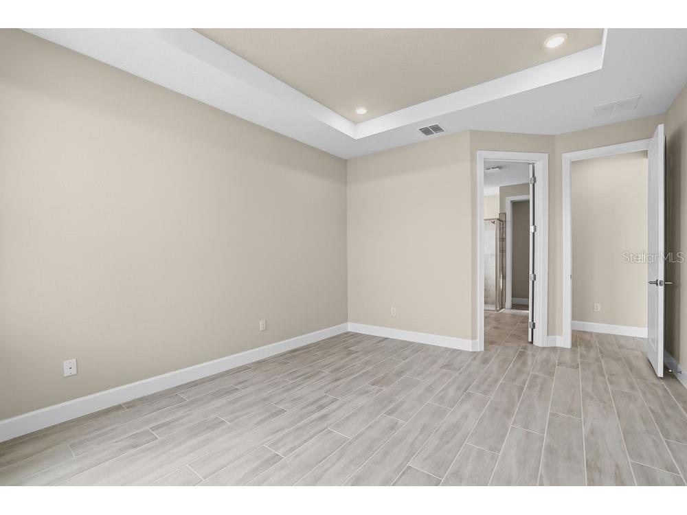 3890 Figliolia Way Wesley Chapel FL 33543 TB8429452 image18