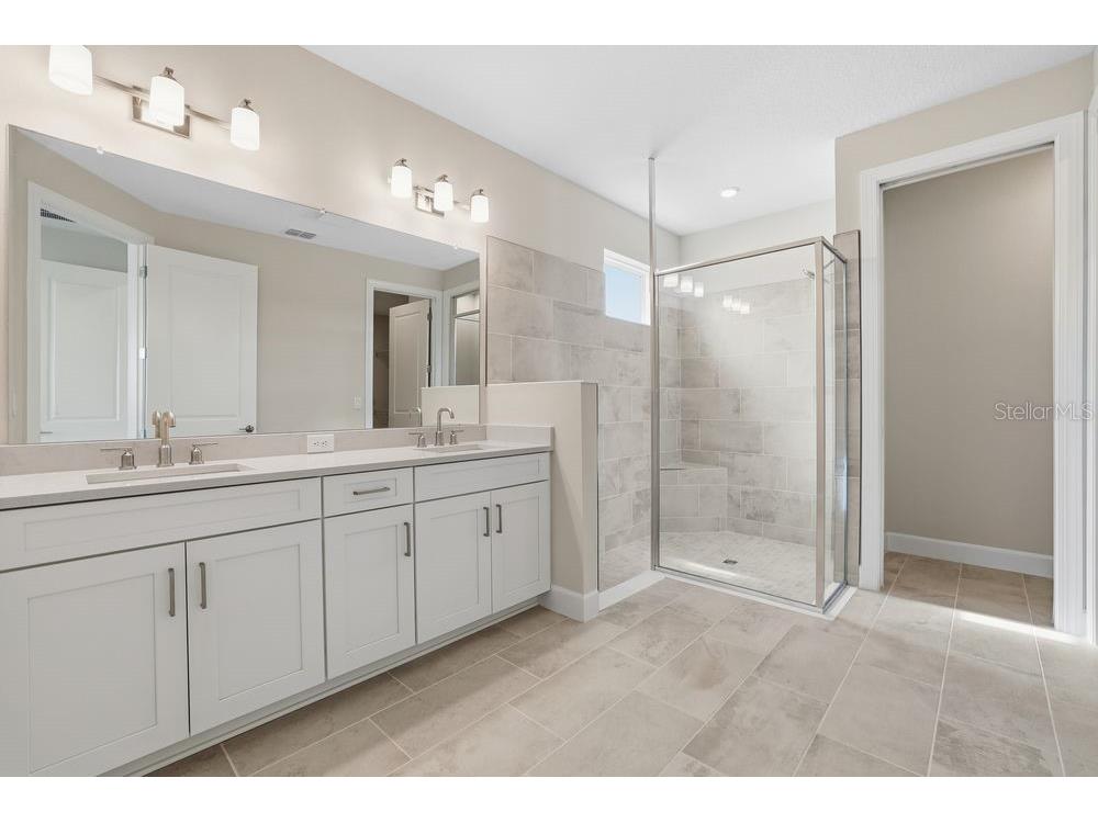 3890 Figliolia Way Wesley Chapel FL 33543 TB8429452 image19