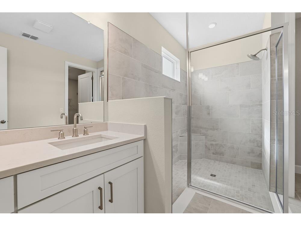 3890 Figliolia Way Wesley Chapel FL 33543 TB8429452 image20