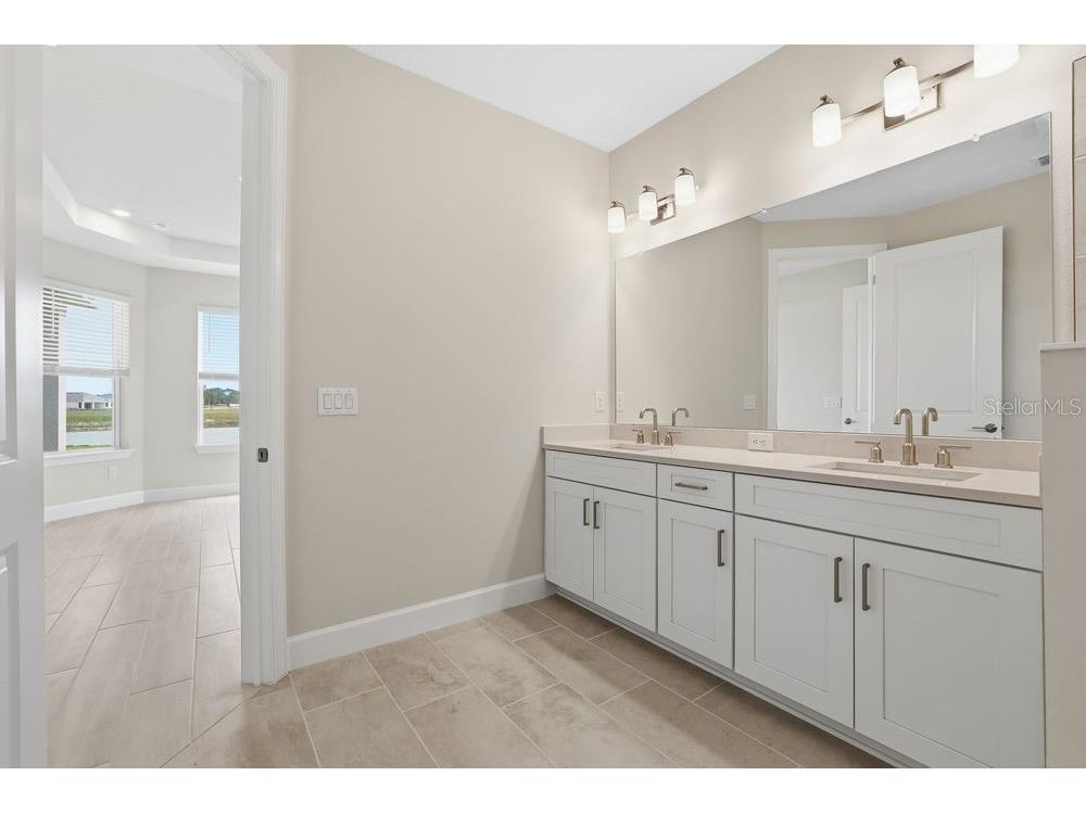 3890 Figliolia Way Wesley Chapel FL 33543 TB8429452 image21