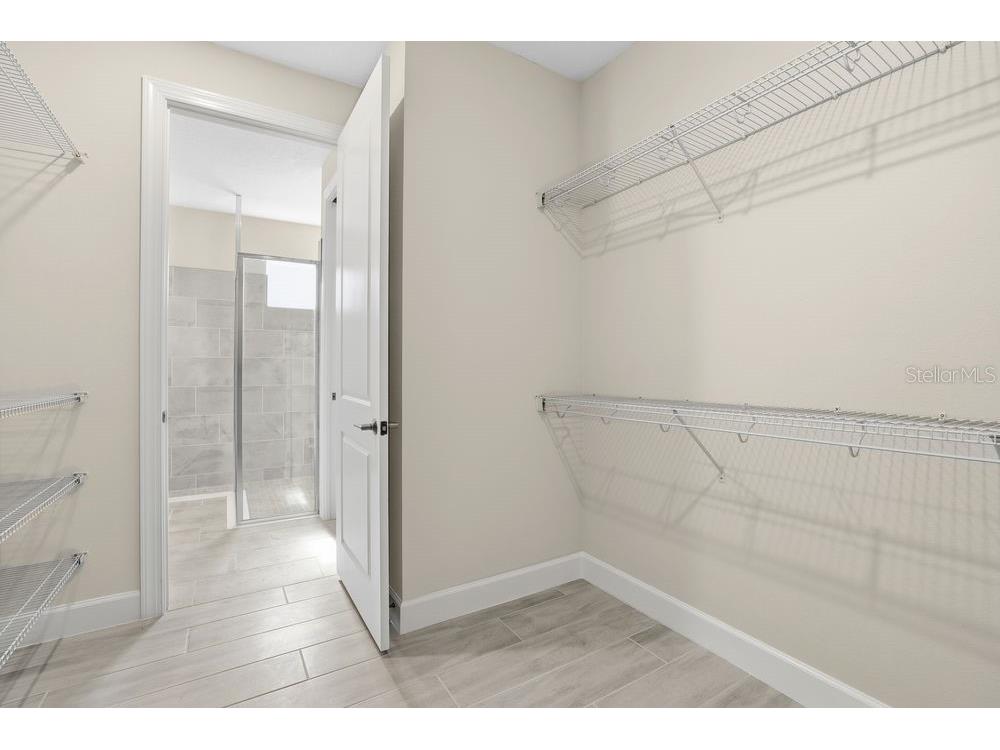 3890 Figliolia Way Wesley Chapel FL 33543 TB8429452 image23